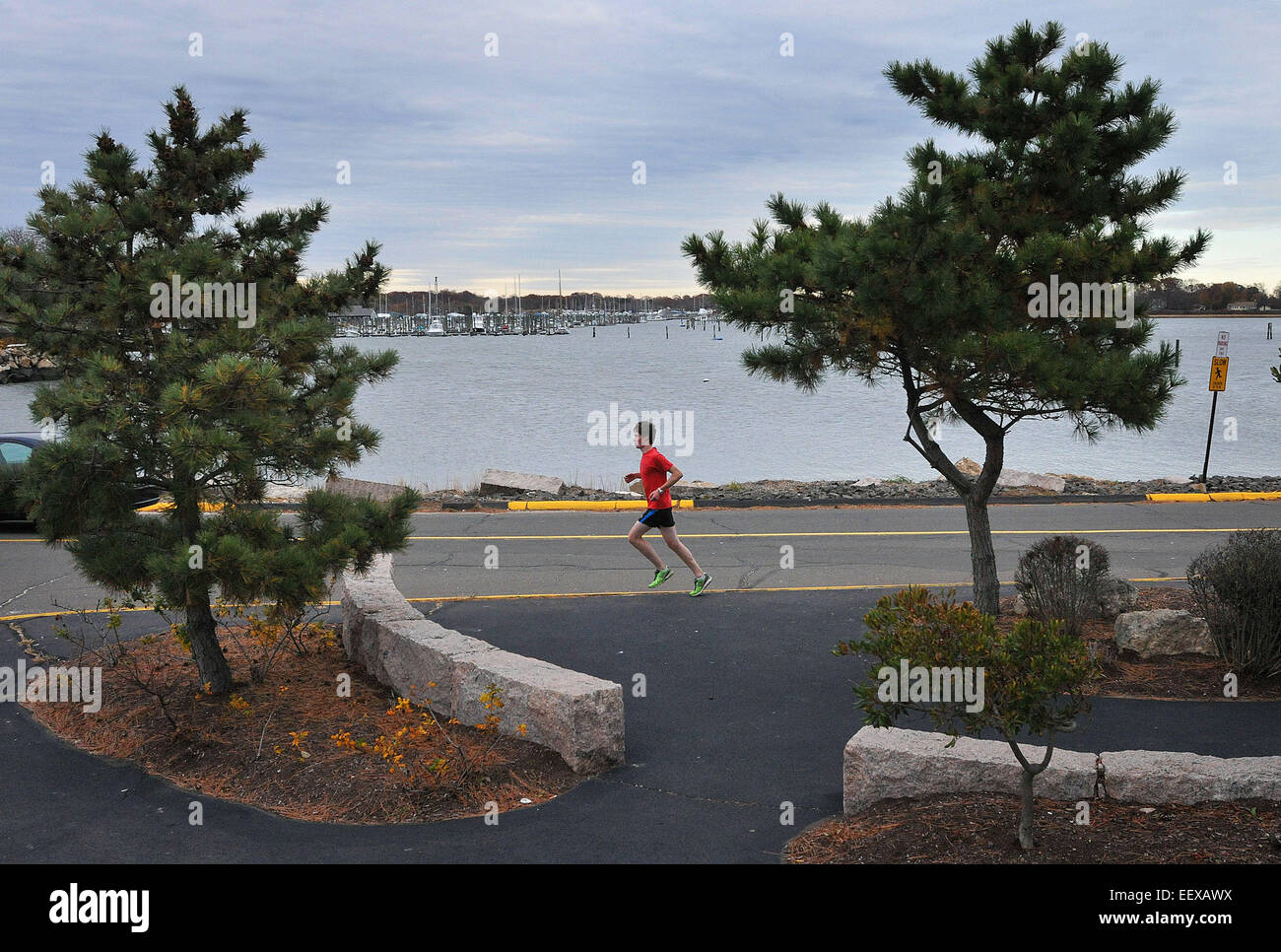 Branford, CT USA --A runner makes his way along Branford Point late Monday afternoon. Stock Photo