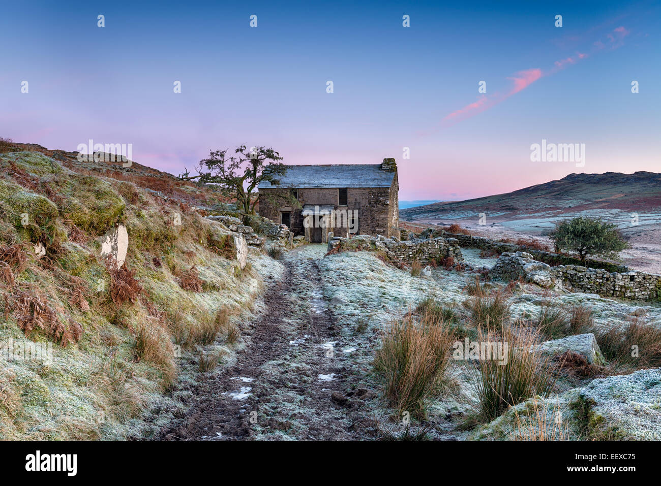 A beautiful frosty winter's morning on Bodmin Moor with an old abandoned cottage and Brown Willy, the highest point in Cornwall Stock Photo