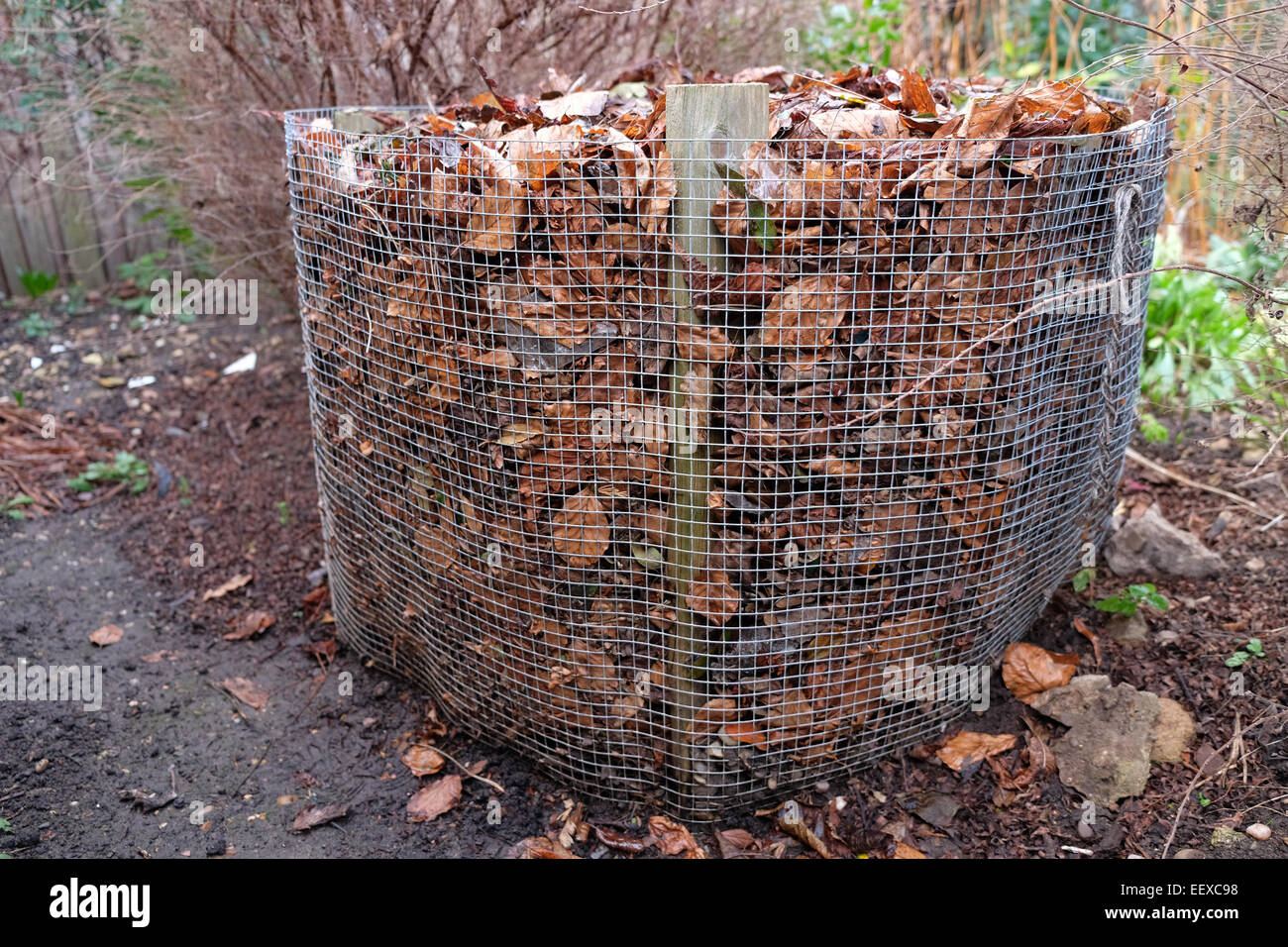 leaves stacked up in a cage to make leaf mould Stock Photo