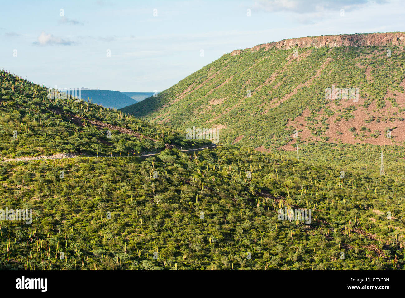 Baja Desert High Resolution Stock Photography and Images - Alamy