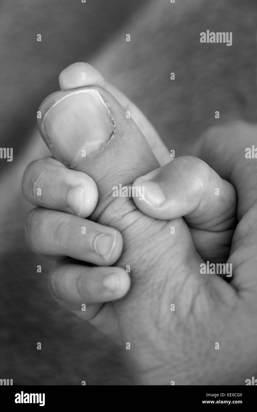 Grab hold grip hires stock photography and images Alamy