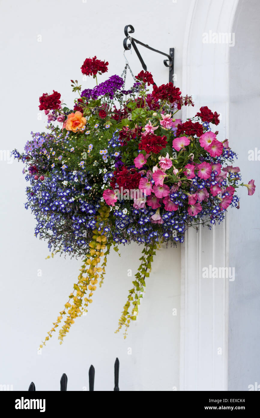 Hanging basket outside front door Stock Photo