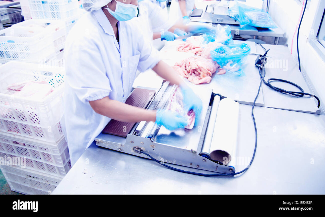 Butcher wrapping pork in meat industry Stock Photo Alamy