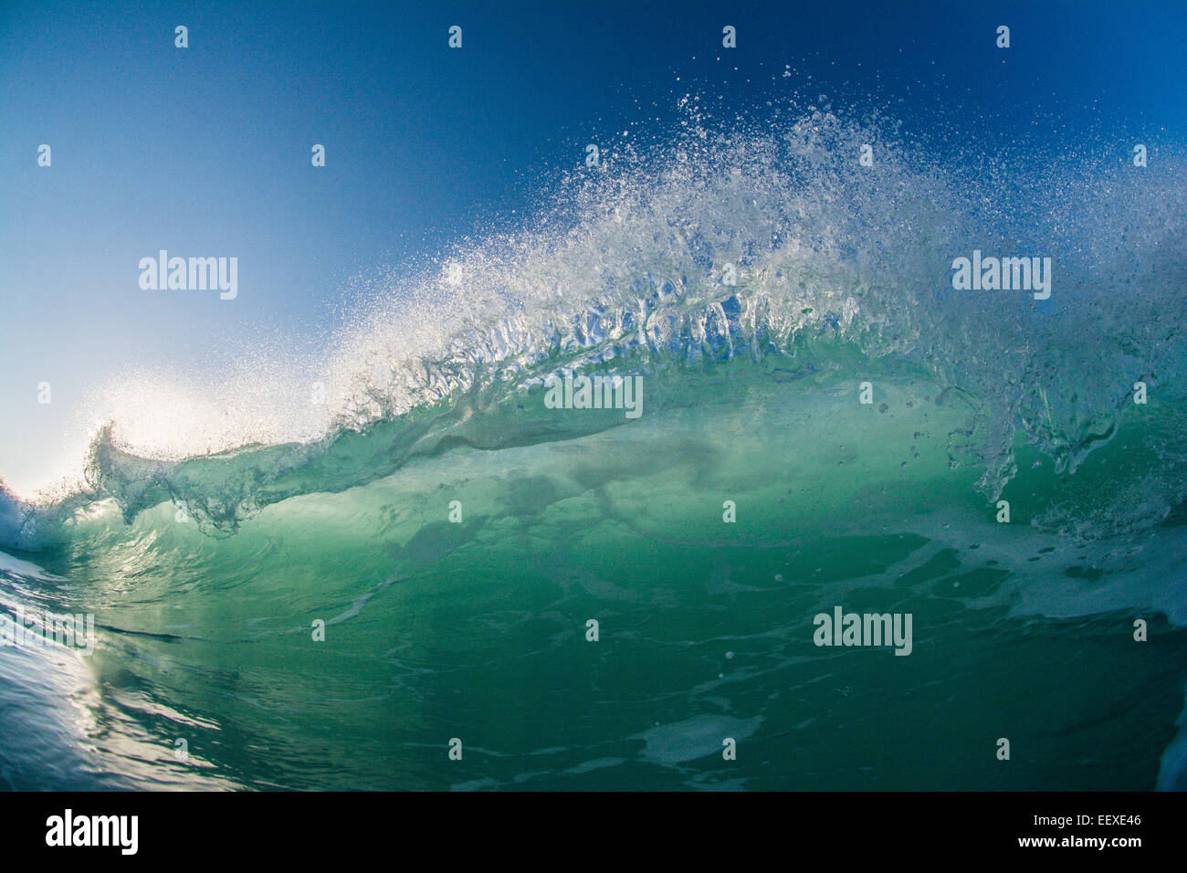 Shorebreak wave, Distilideros, Baja California Sur, Mexico Stock Photo