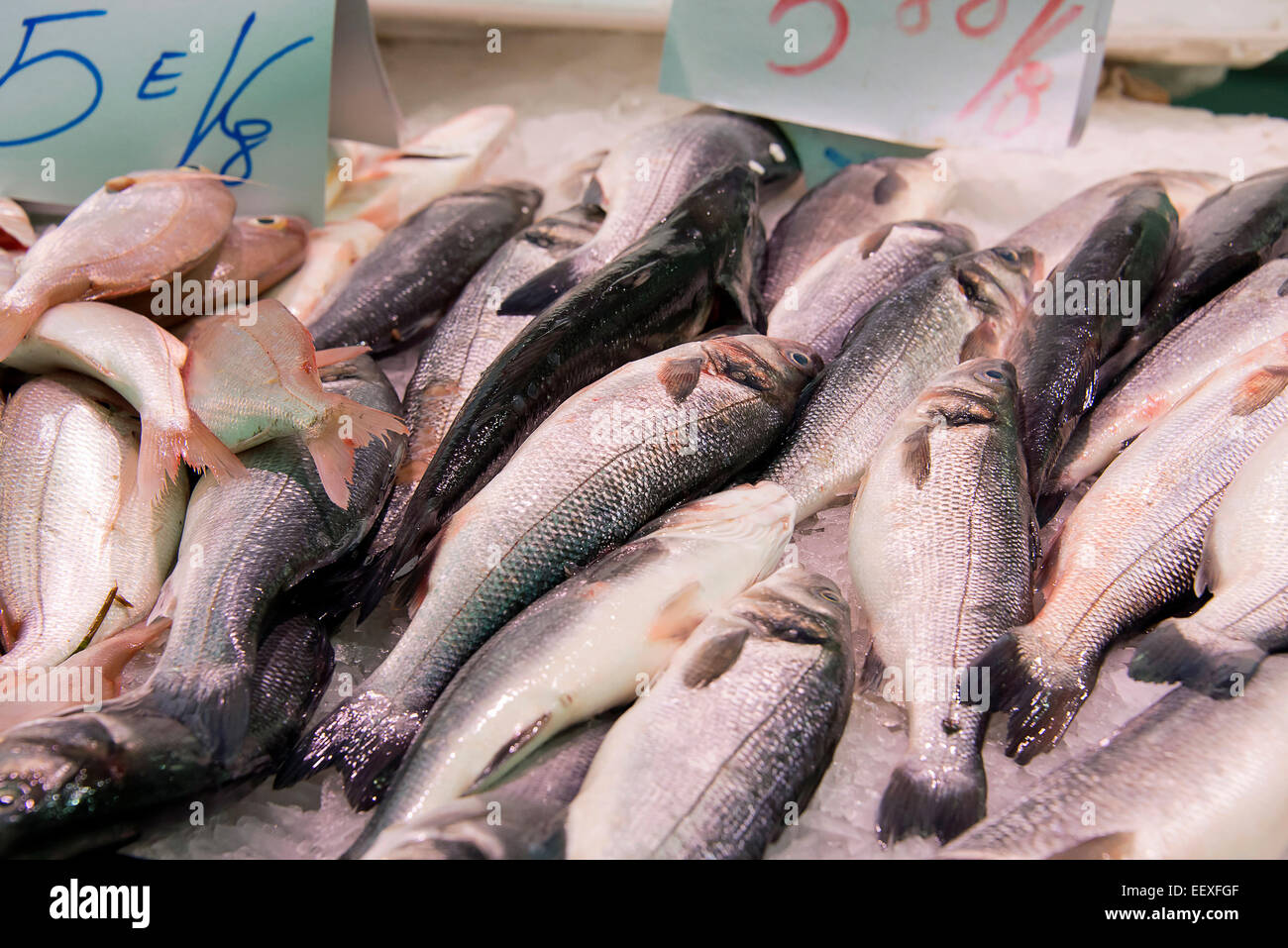 Fish in a market Stock Photo - Alamy