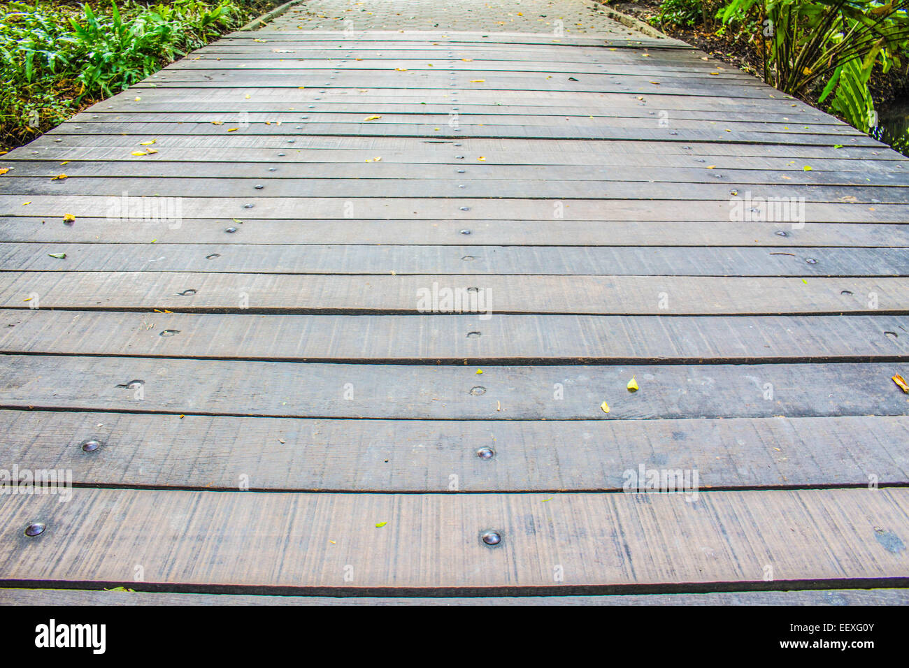 Wooden walkway in the park Stock Photo - Alamy