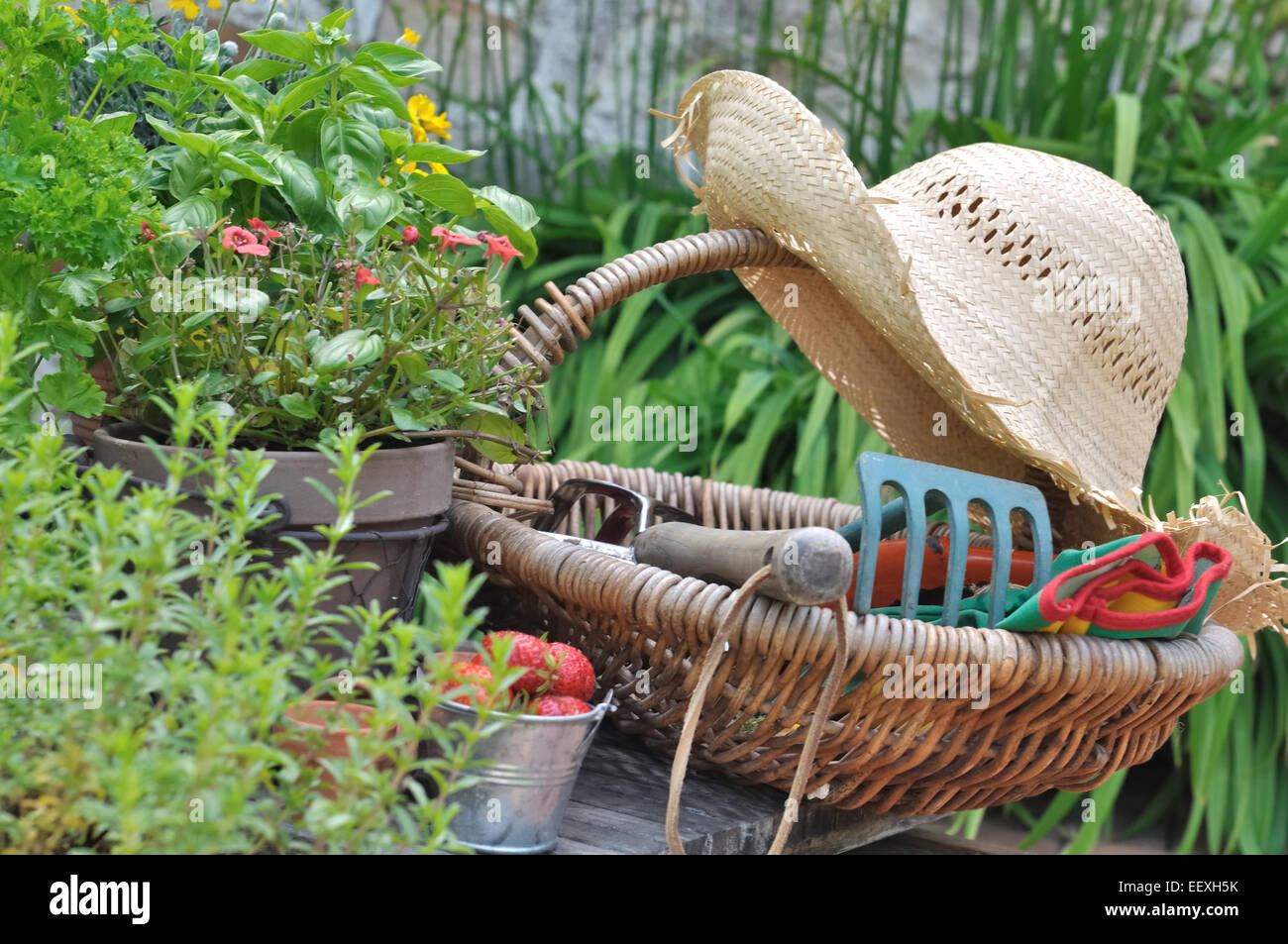gardening tools in a basket with straw hat among aromatic herbs,flowers and strawberries Stock