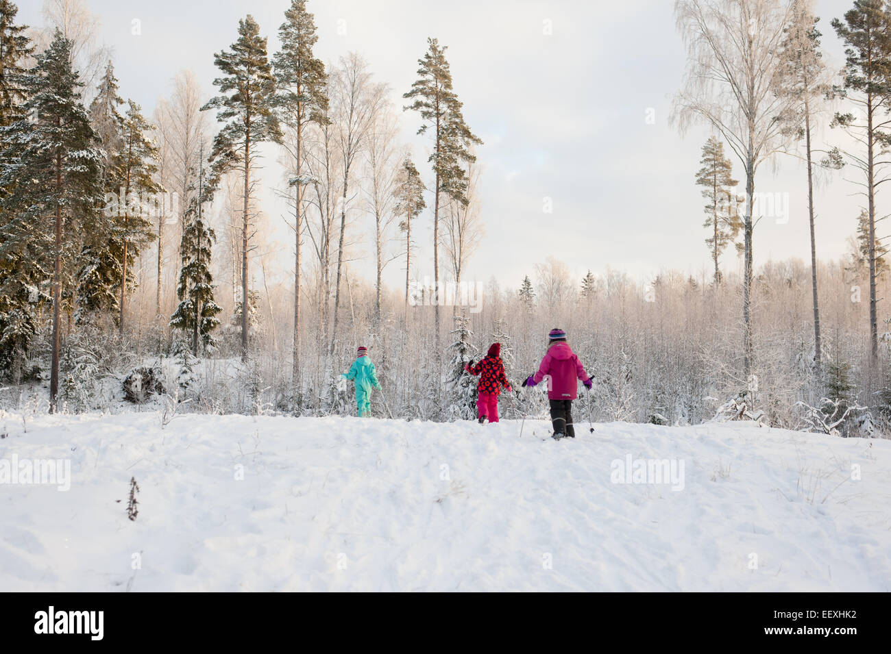 Children skiing in woods Stock Photo