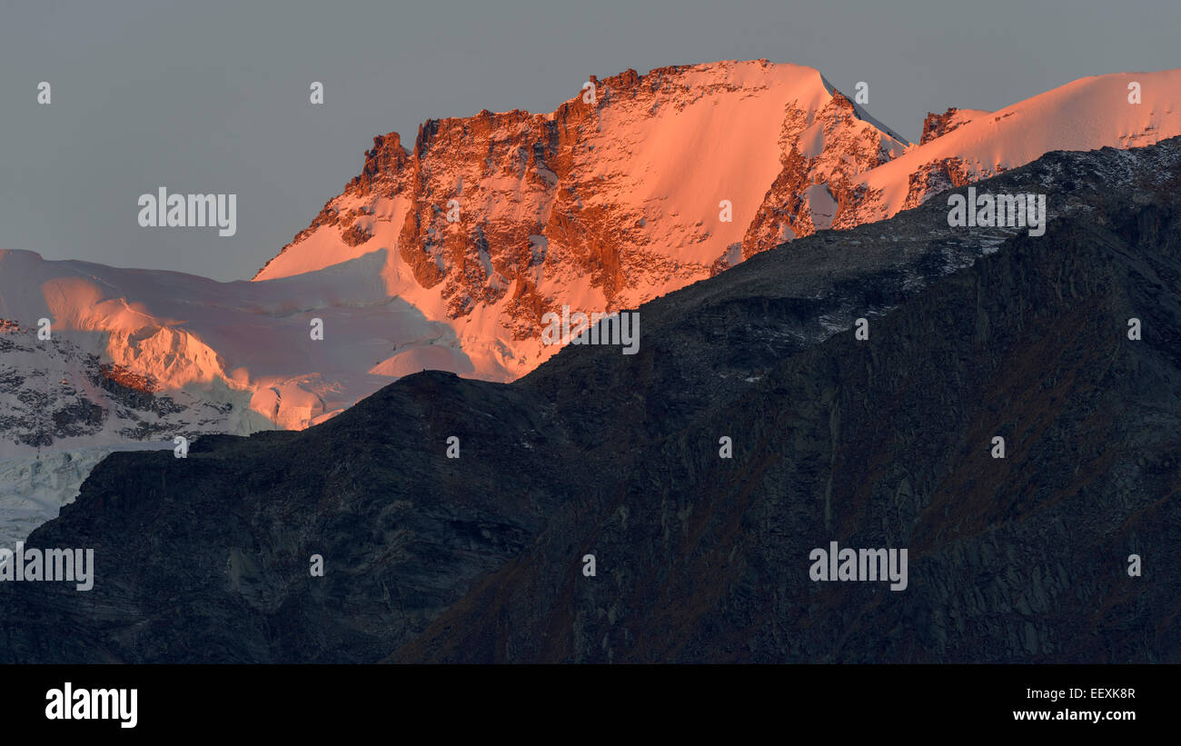 Paradiso group at sunrise, alpenglow, Gran Paradiso National Park, Valle di Cogne, Piedmont, Italy Stock Photo