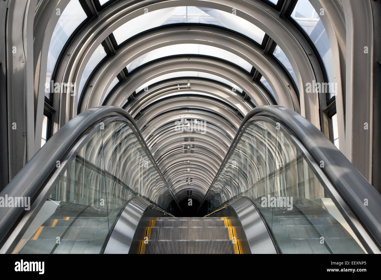 Porno yoki jonli jinsiy aloqa