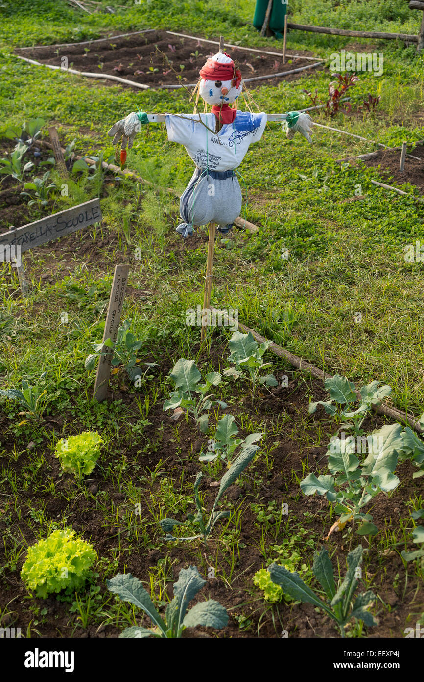 Scarecrow in a vegetable garden in a countryside Stock Photo