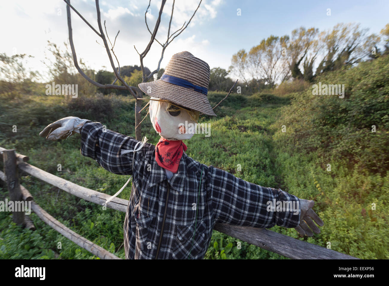 Scarecrow in a vegetable garden in a countryside Stock Photo