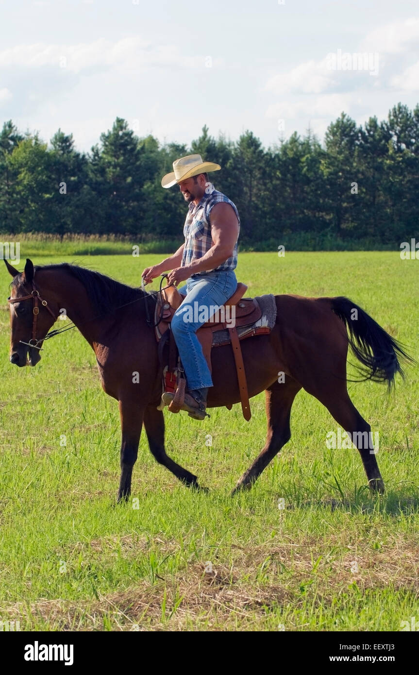Man riding a horse outdoors Stock Photo - Alamy
