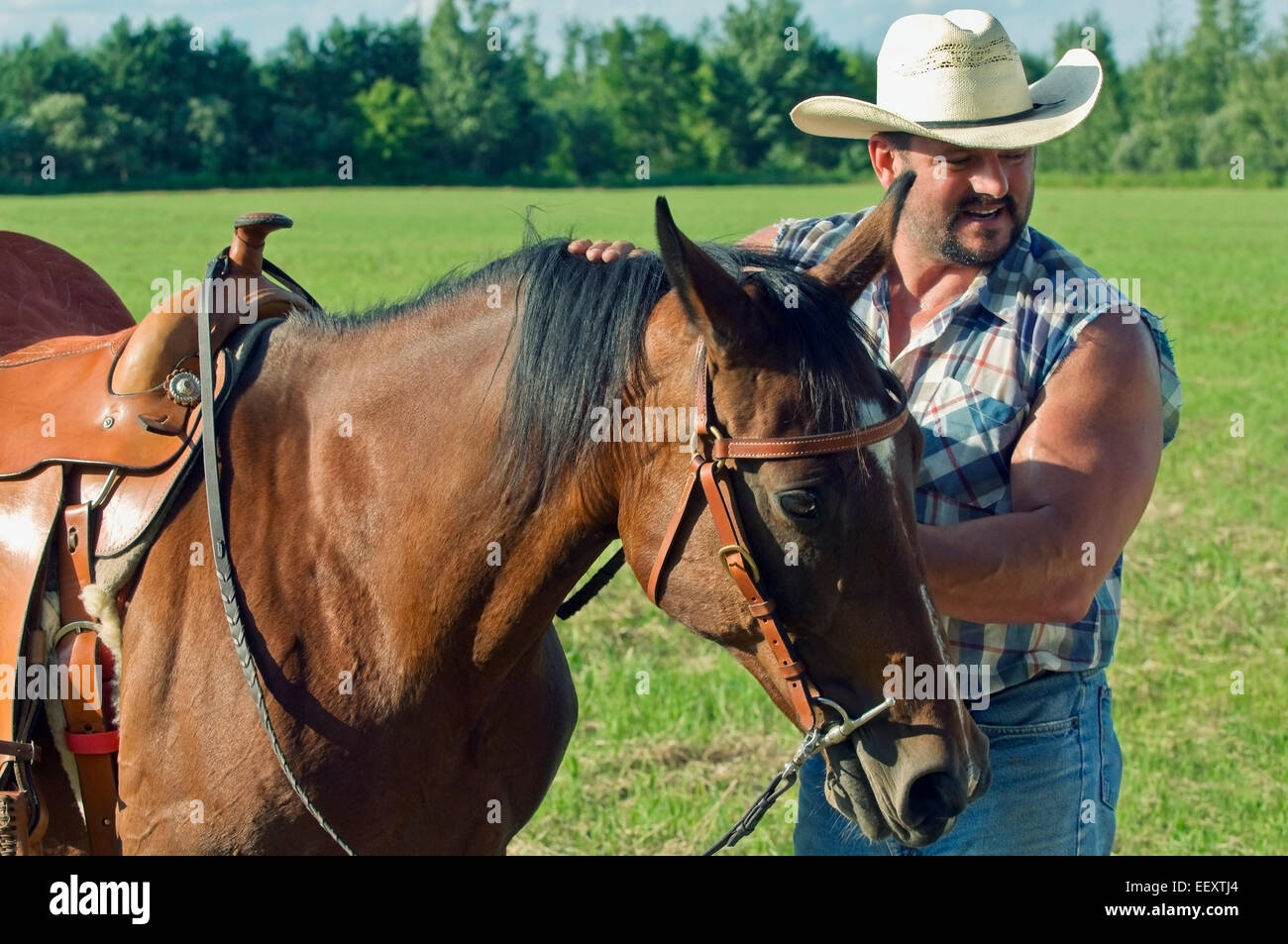 Man with a horse outdoors Stock Photo - Alamy