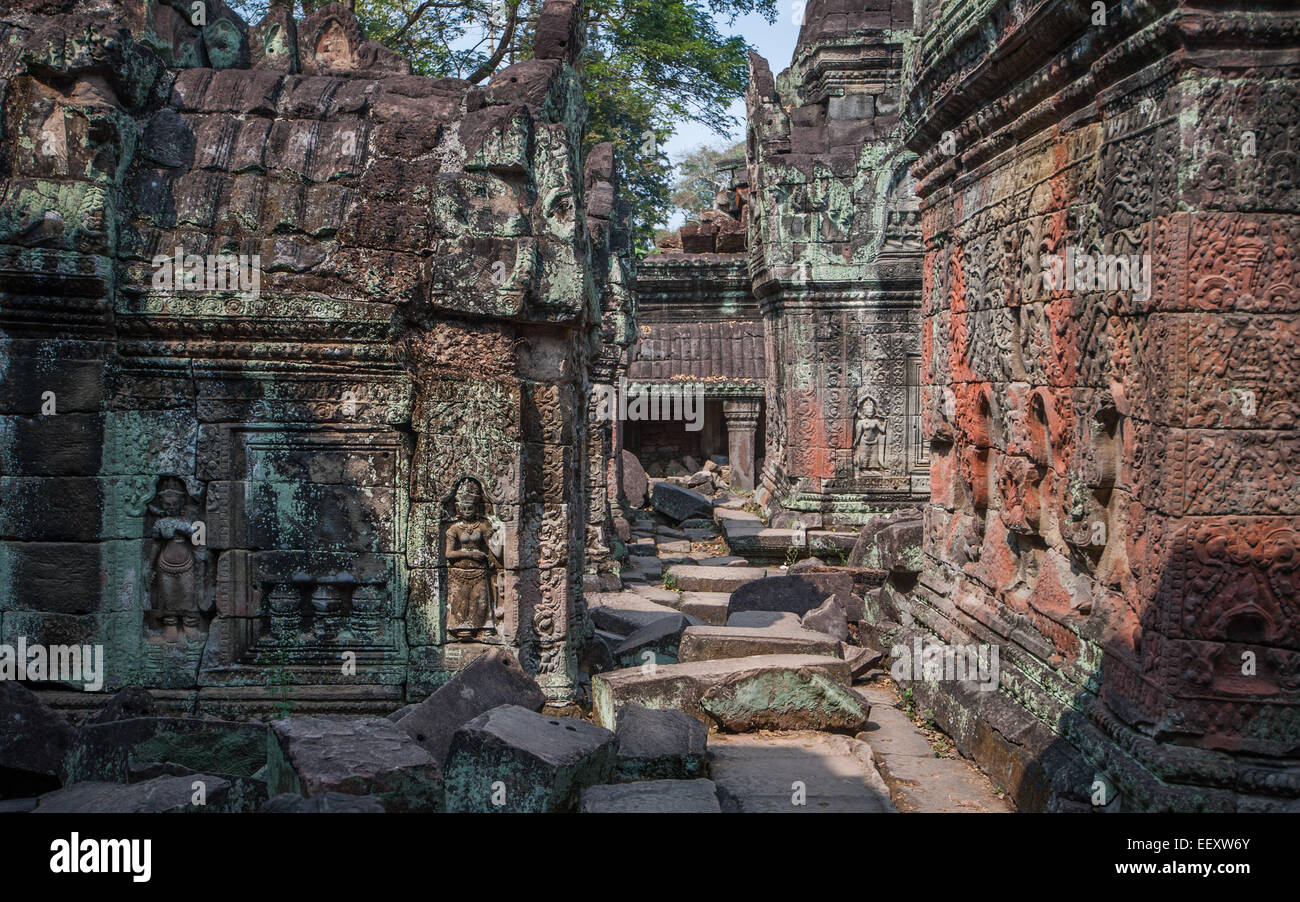 Pra Khan ruined temple at Angkor wat, Cambodia Stock Photo