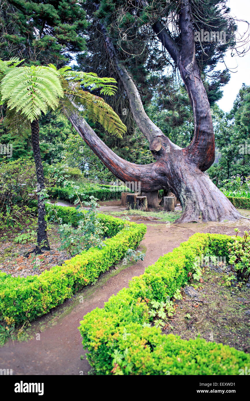 Lush tropical park hi-res stock photography and images - Alamy
