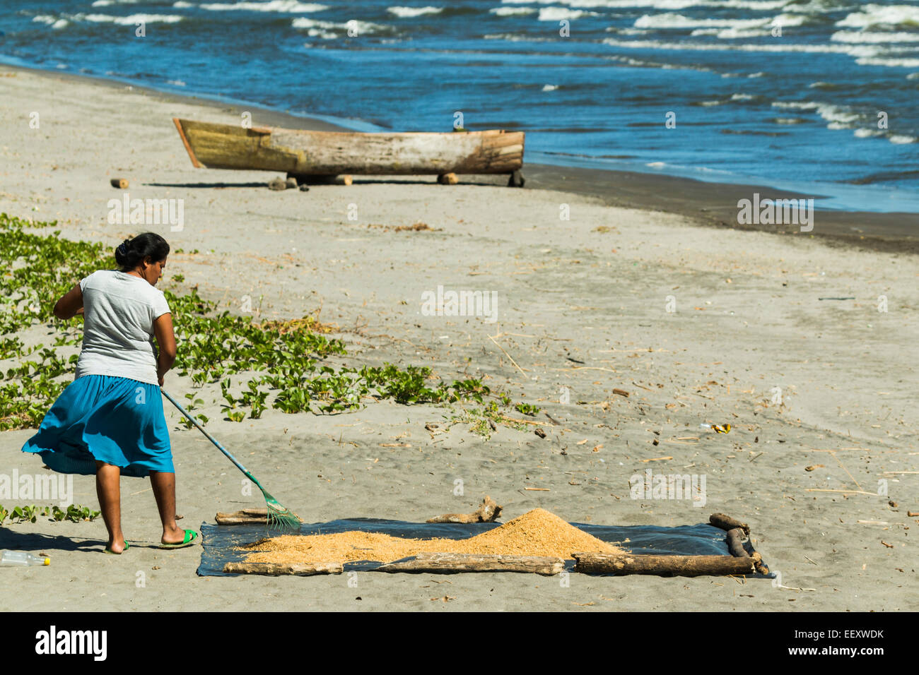 Local woman raking rice on windy Playa Santa Domingo near Altagracia on east coast; Omotepe Island, Lake Nicaragua, Nicaragua Stock Photo