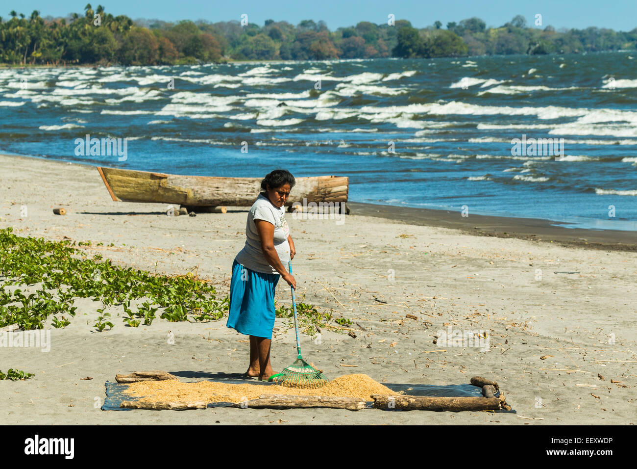 Local woman raking rice on windy Playa Santa Domingo near Altagracia on east coast; Omotepe Island, Lake Nicaragua, Nicaragua Stock Photo