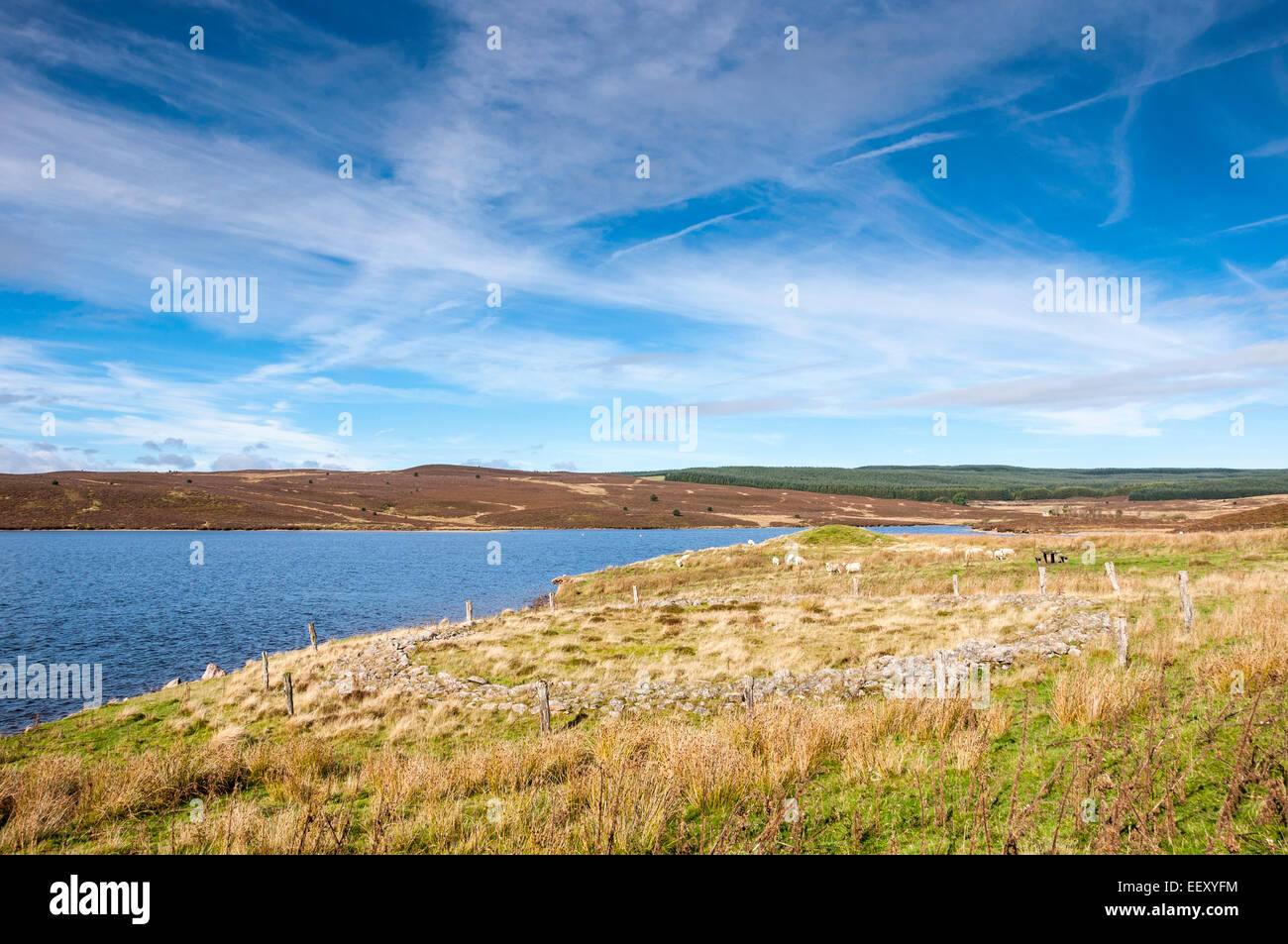 Bronze age ring cairn beside Llyn Brenig in North Wales on a sunny ...