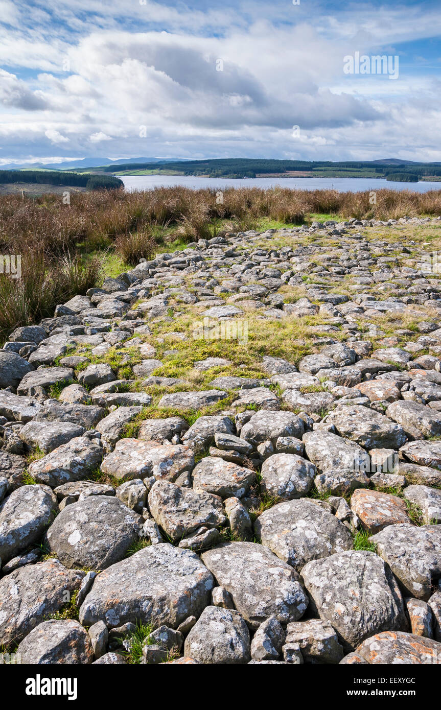 A bronze age platform cairn on the archaeology trail at Llyn Brenig in ...