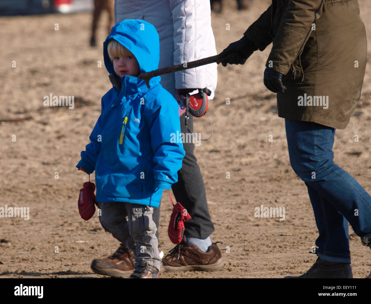 Young child walking on the beach on reins held by mother, UK Stock Photo