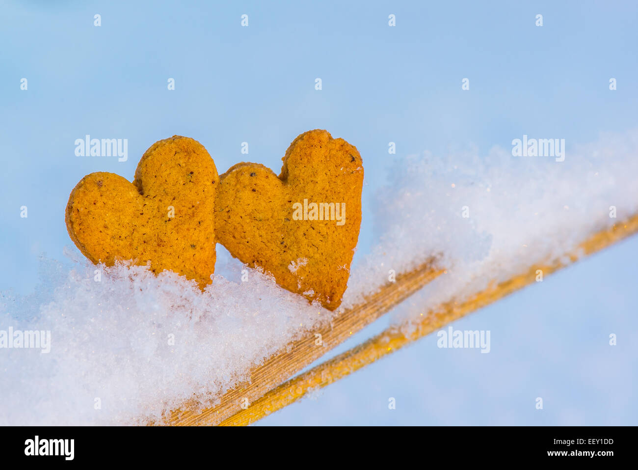Gingerbread hearts on snow Stock Photo
