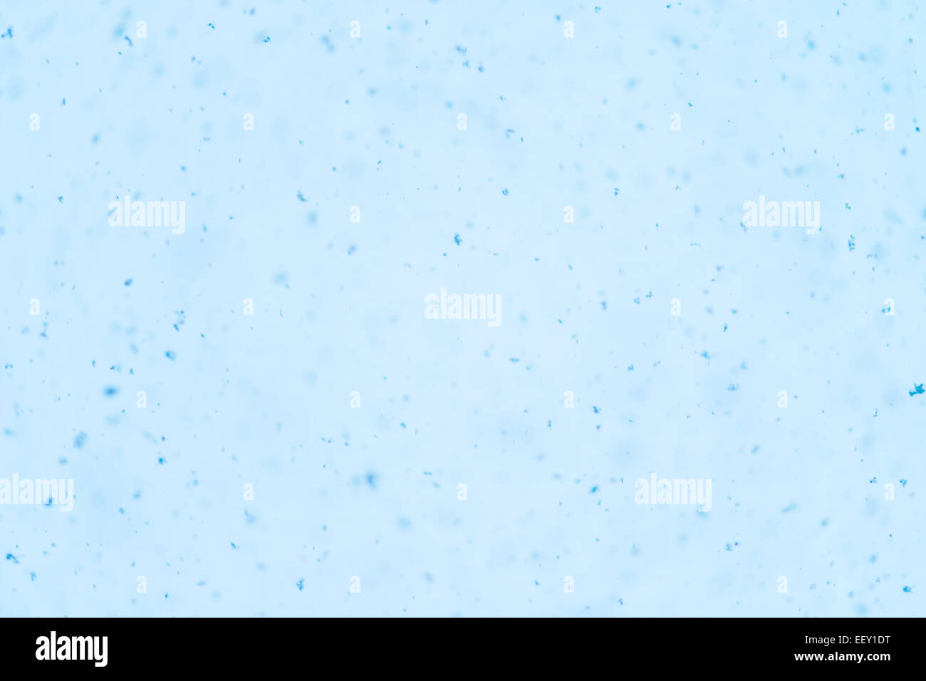 Snow flakes falling down from sky Stock Photo