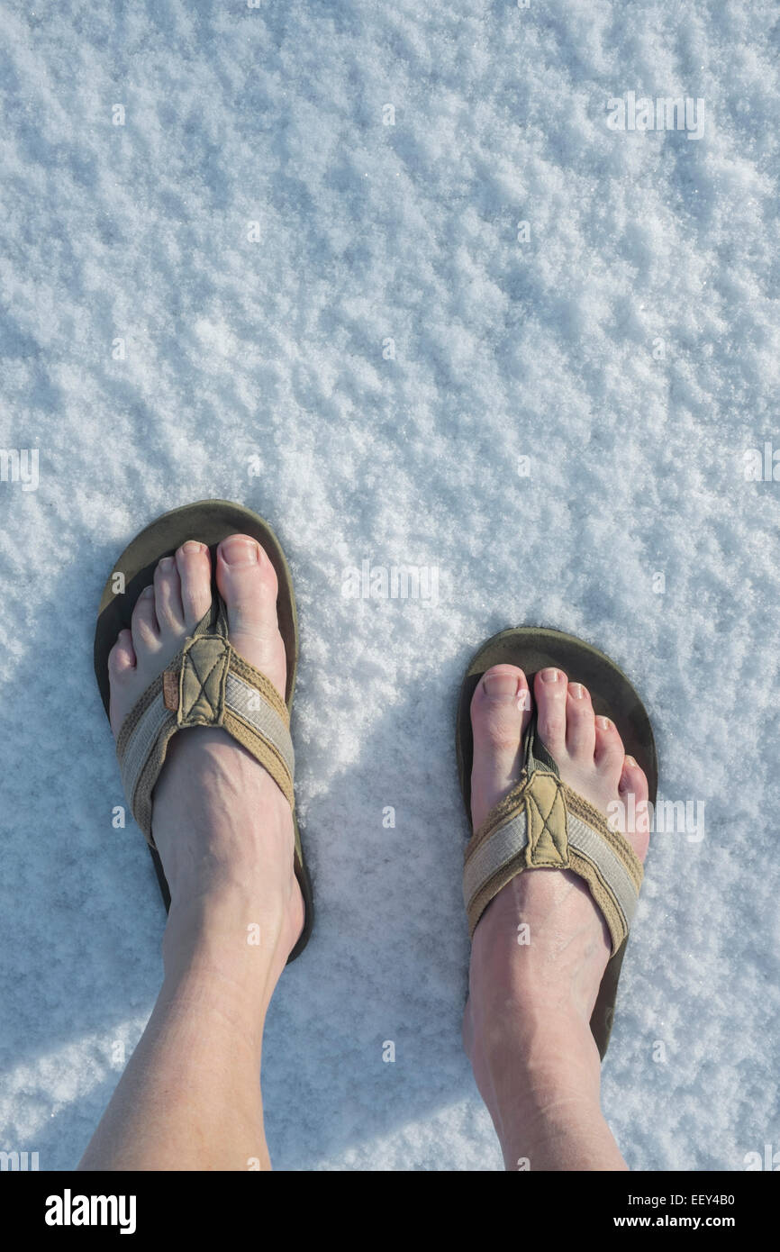 Bare feet in flipflops in snow Stock Photo - Alamy