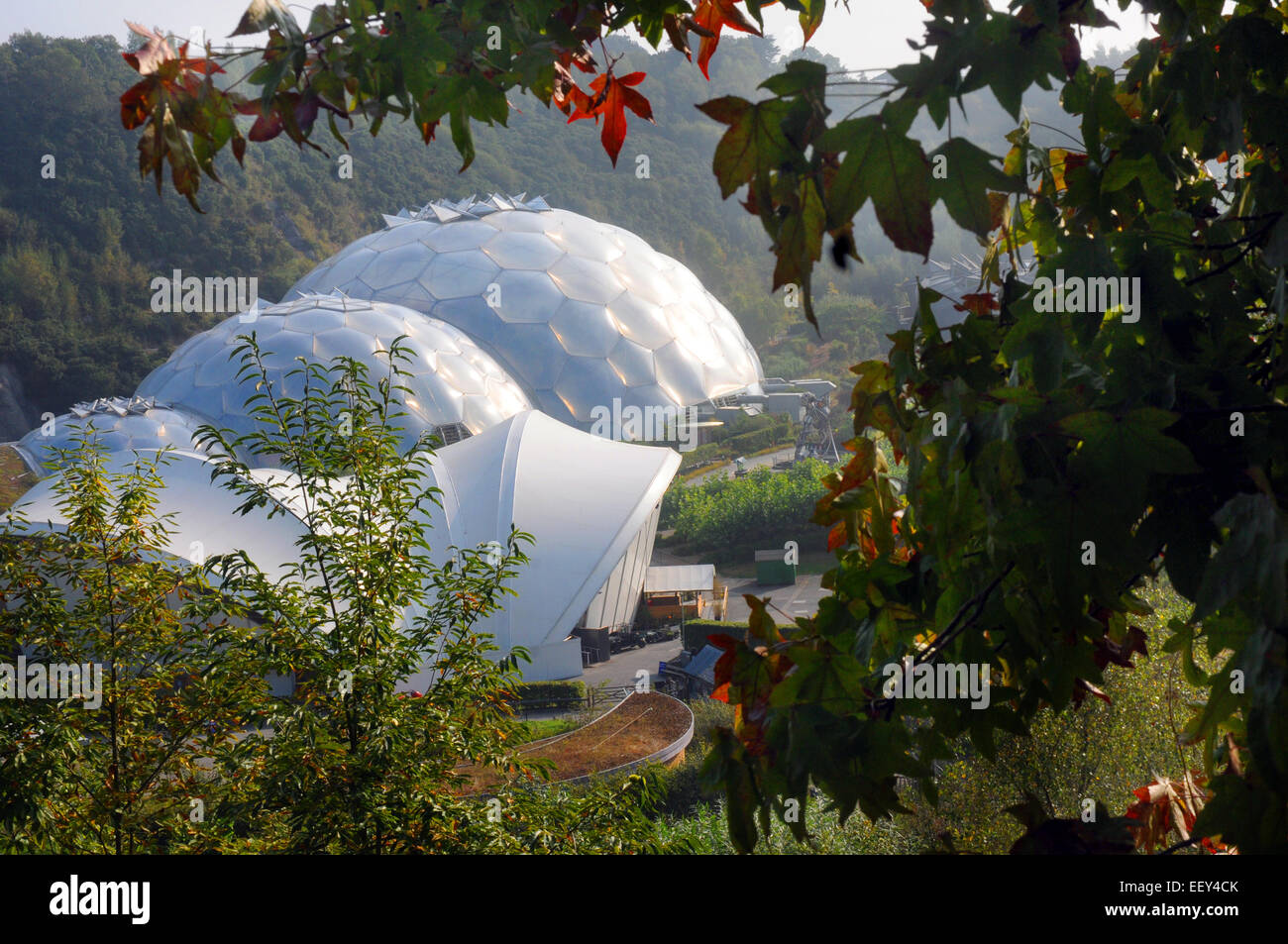 September 2014  The Eden Project near St. Austell, Cornwall. Pic Mike Walker,  Mike Walker Pictures Stock Photo