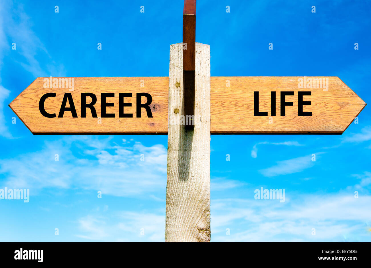 Wooden signpost with two opposite arrows over clear blue sky, Career ...