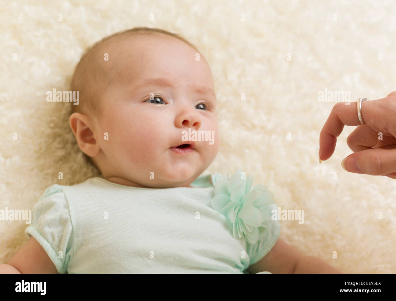 Three month old baby girl staring intently at finger and hand of its mother Stock Photo