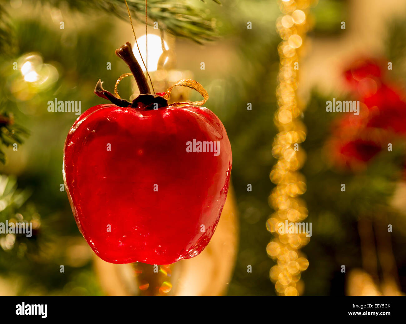 Xmas decoration on Christmas tree illuminated by lights Stock Photo