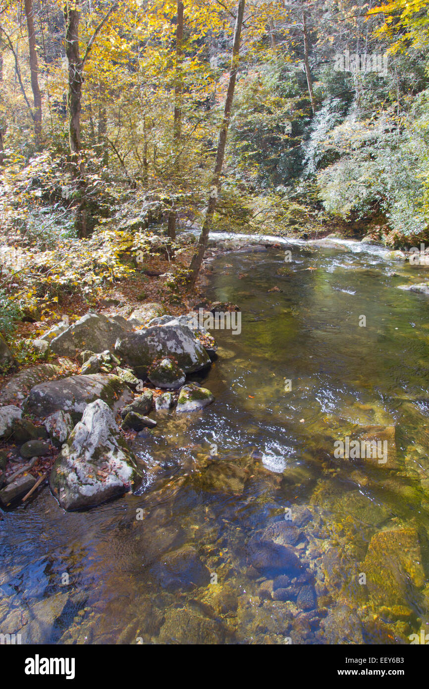 Impressionistic looking creek with clear water dotted with mottled ...