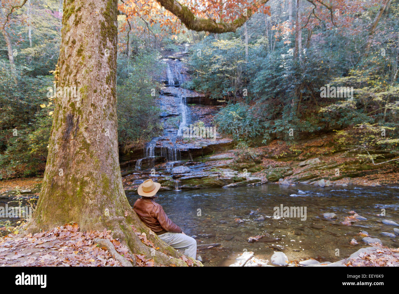 A man wearing a leather jacket and Aussie hat leans against a tree facing a scenic waterfall and stream in autumn Stock Photo