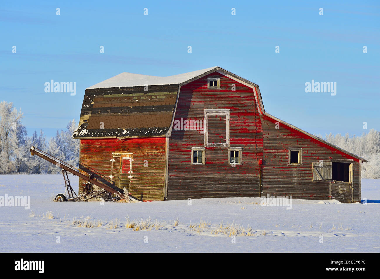 An old red barn on a farm in rural Alberta Canada Stock Photo Alamy