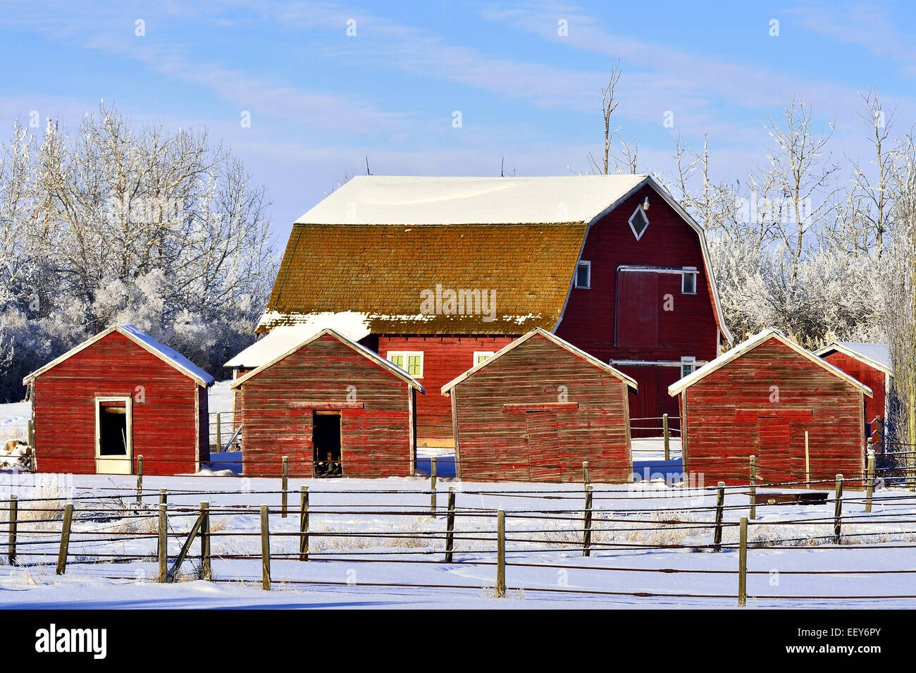 A Red Wooden Barn Surrounded By Red Grain Sheds Stock Photo