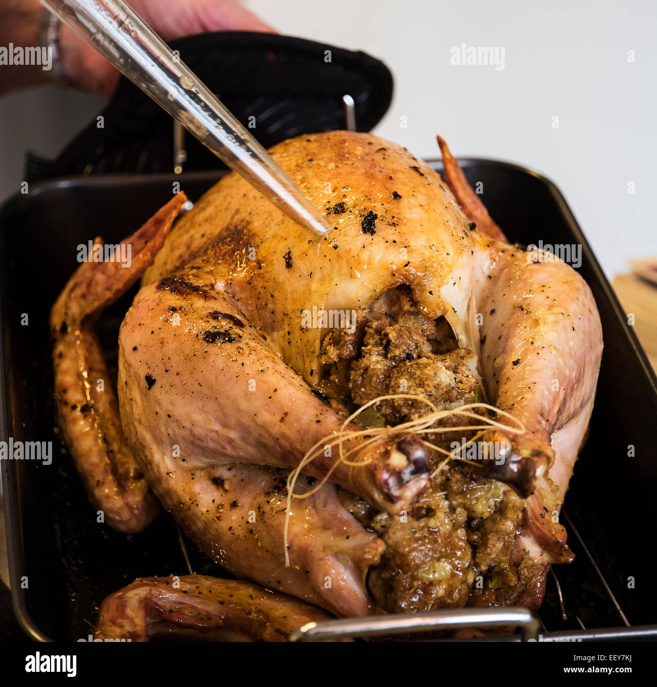 https://c8.alamy.com/comp/EEY7KJ/person-basting-thanksgiving-turkey-EEY7KJ.jpg