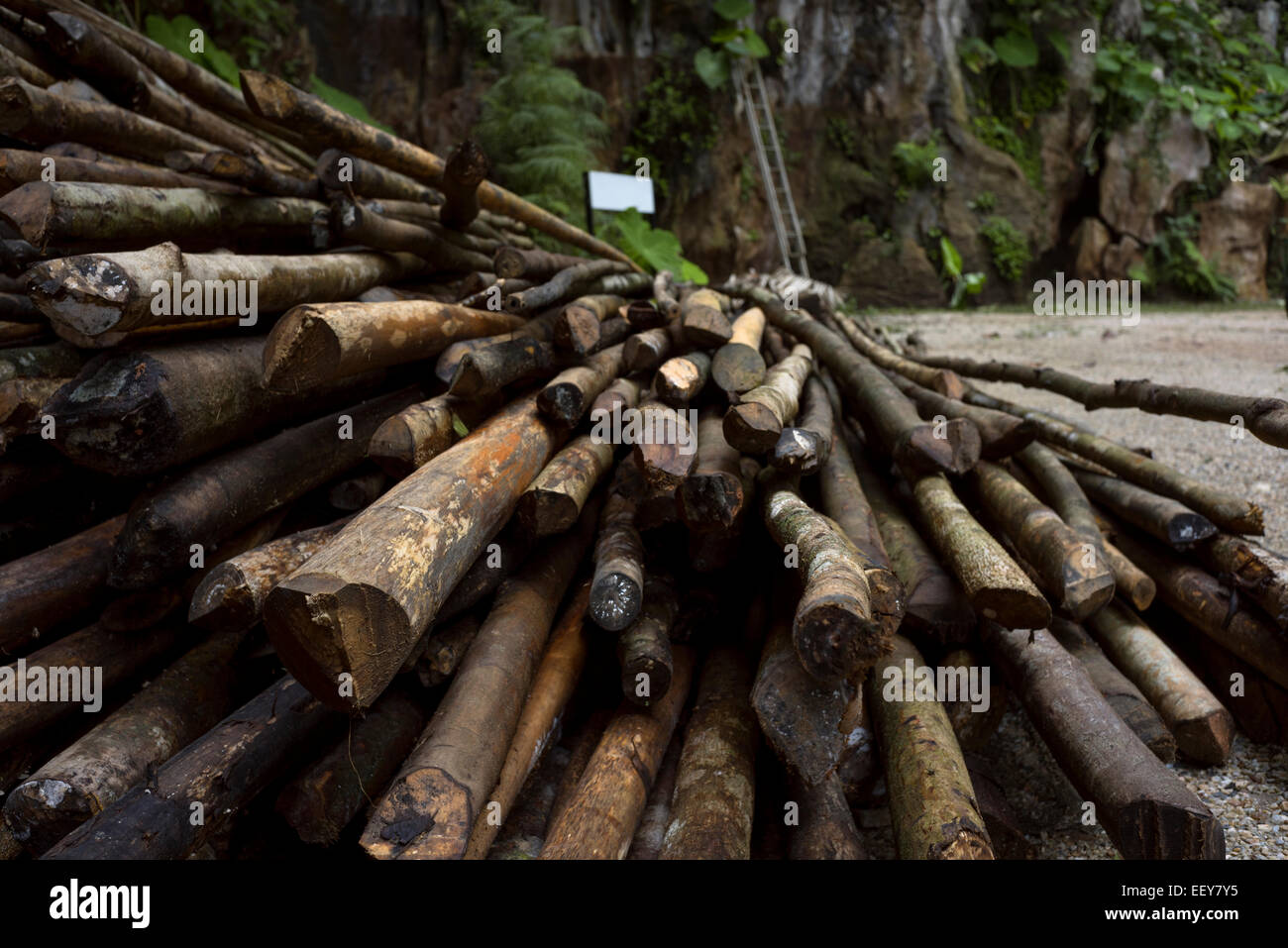 Stacked wood pile hi-res stock photography and images - Alamy