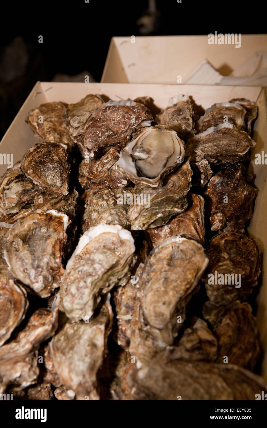 Fresh Oysters at the France Show 2015 in Olympia London Stock Photo