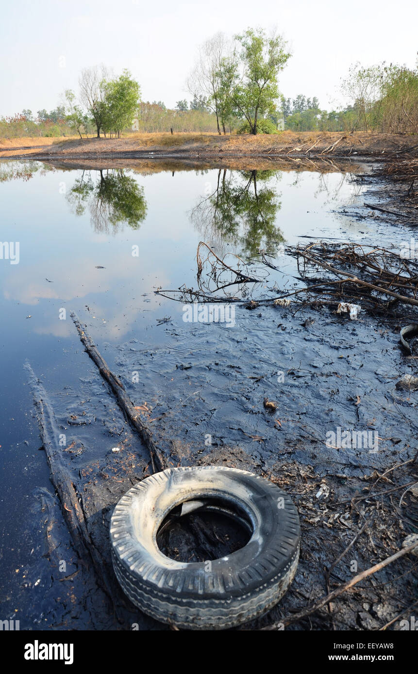 Effects Environmental from Water contaminated with Chemicals and oil