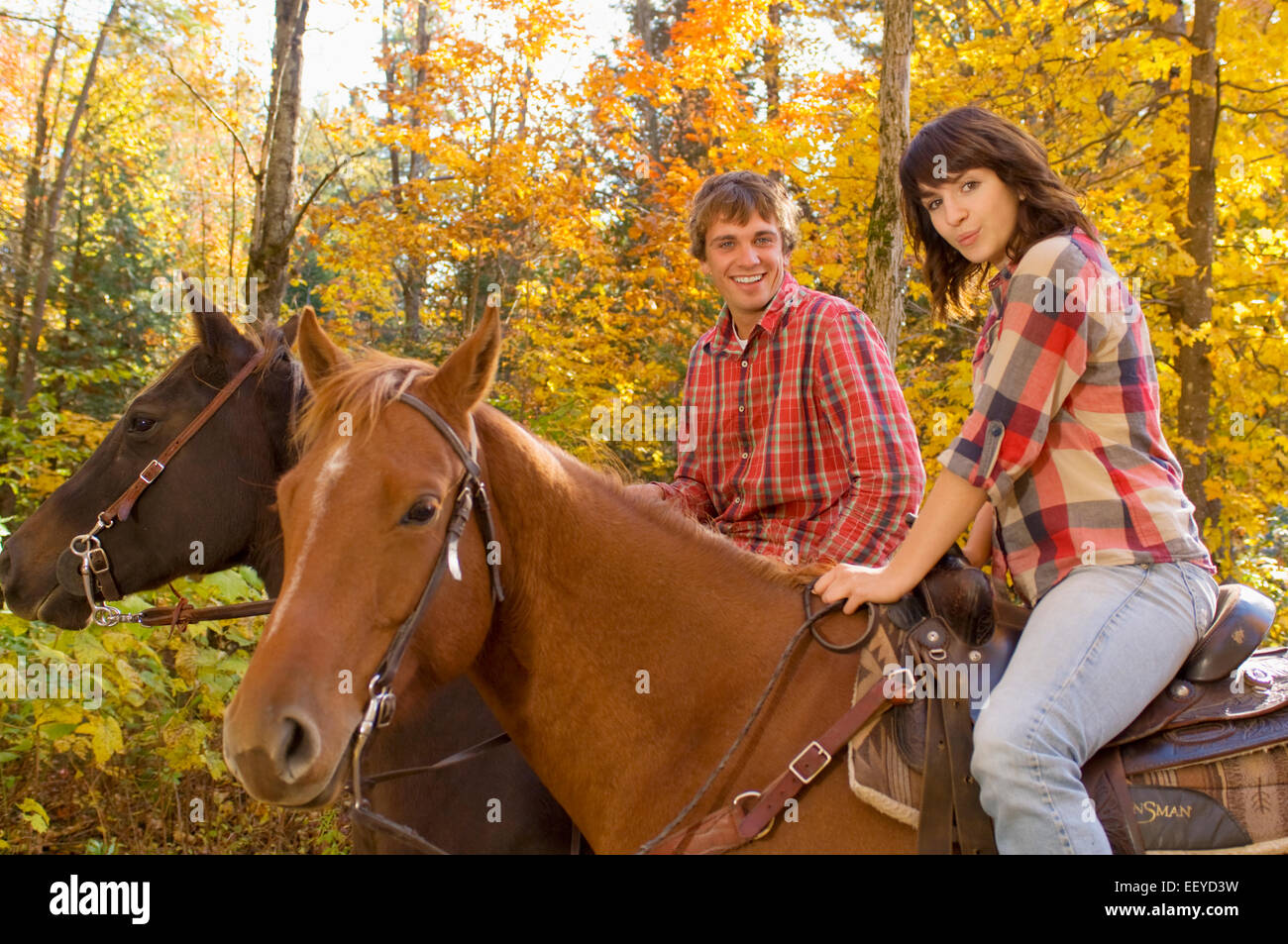 Horseback riders on an autumn day Stock Photo - Alamy