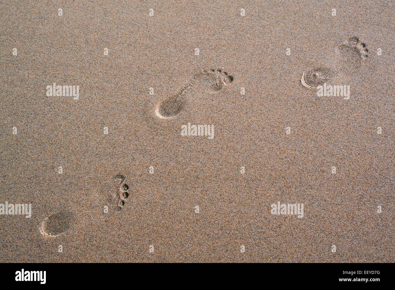 footprints in sand Stock Photo