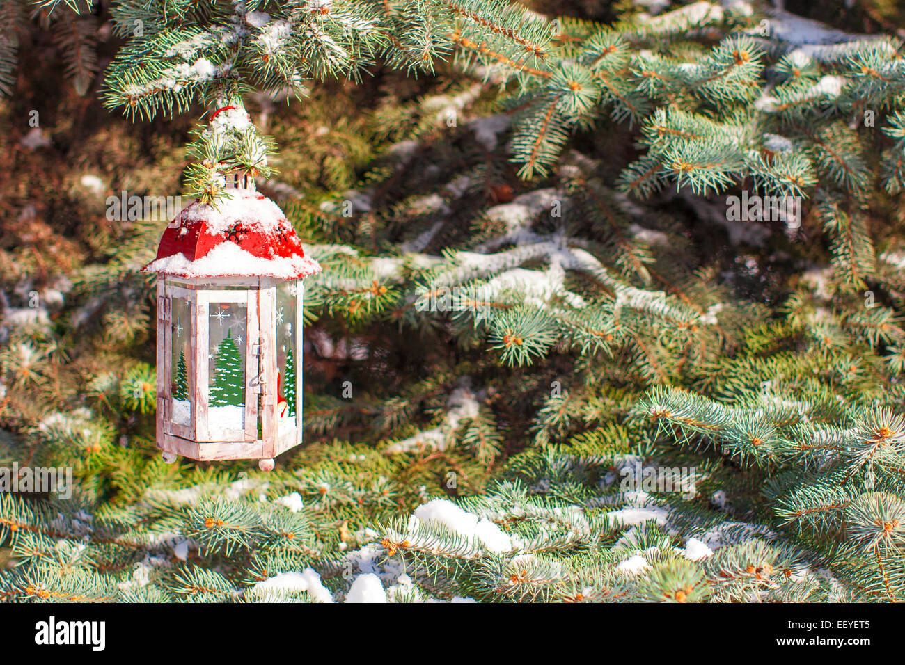 Christmas lantern with snowfall hanging on a fir branch Stock Photo - Alamy