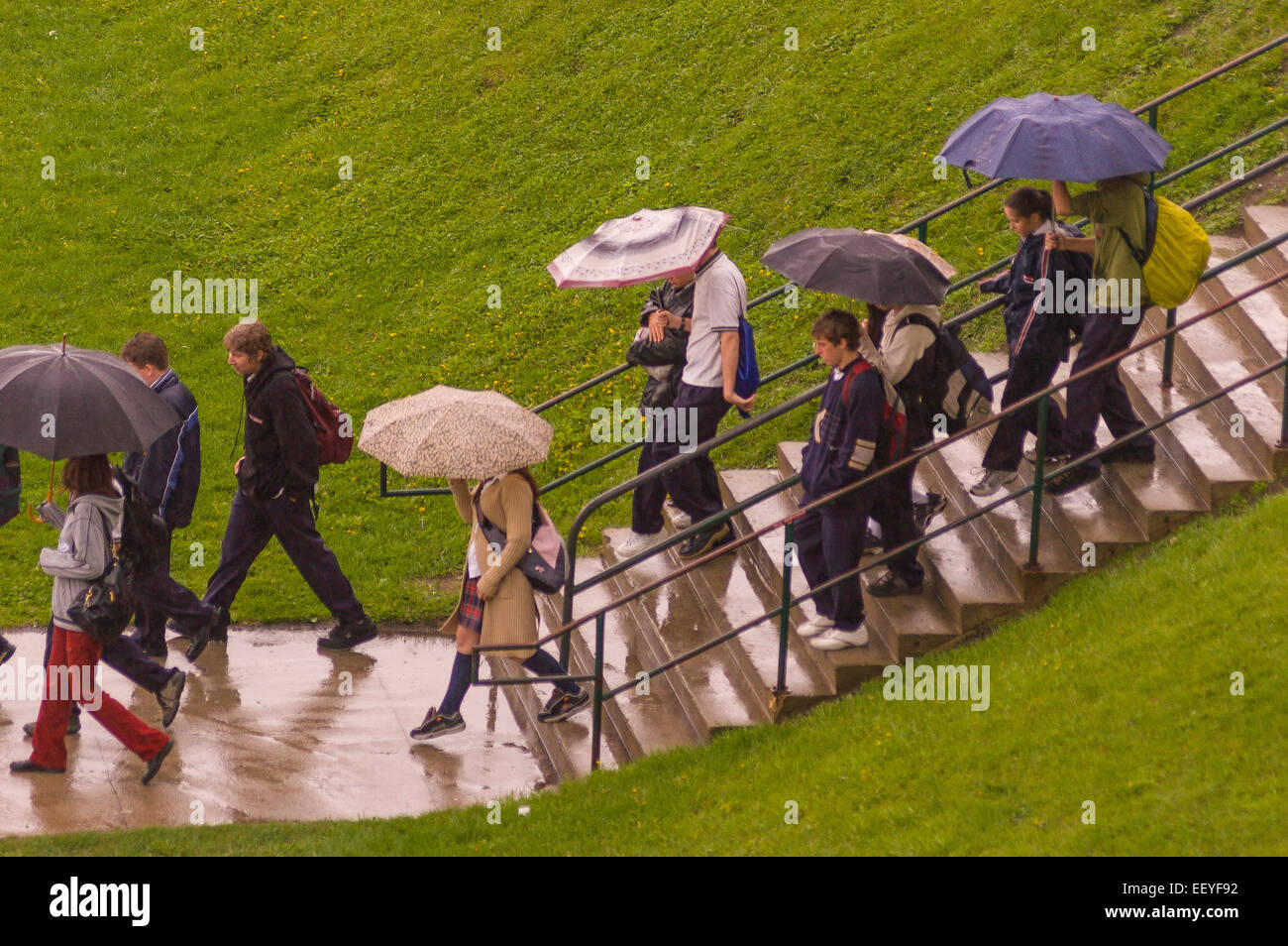 rain umbrellas canada