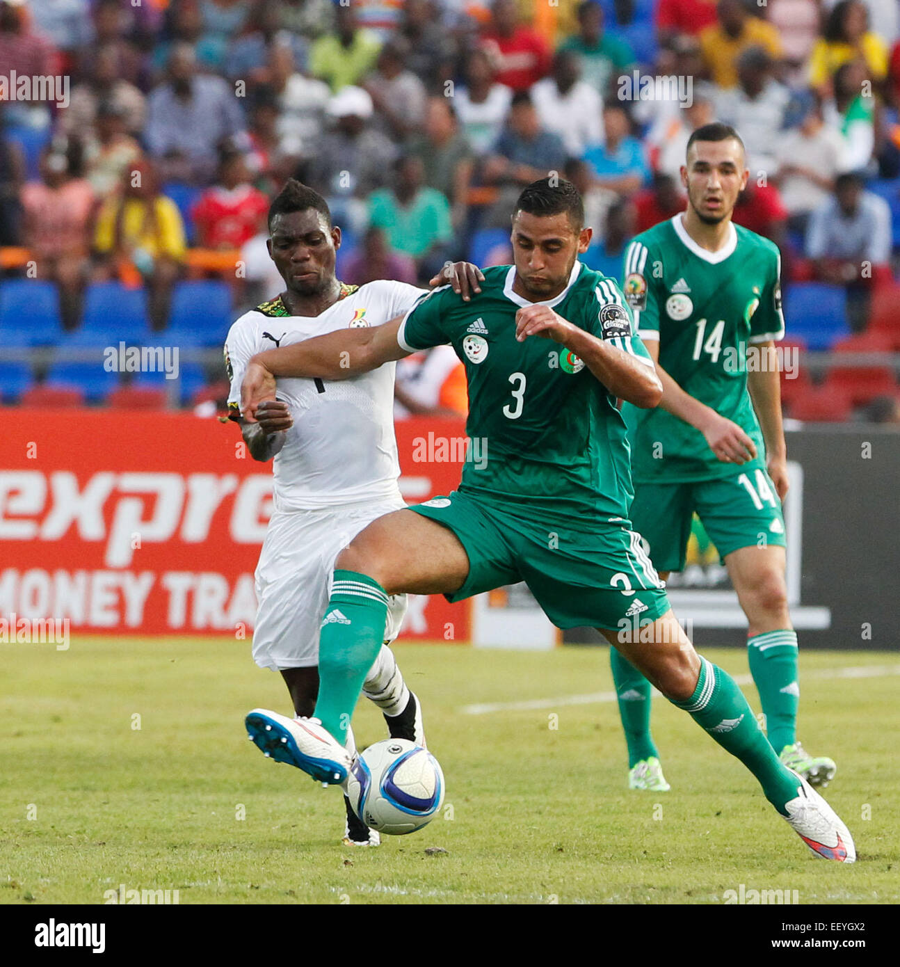 Mongomo, Equatorial Guinea. 23rd Jan, 2015. Christian Atsu Twasam (L) of Ghana vies with Algeria's Faouzi Ghoulam during their group match of Africa Cup of Nations in Mongomo, Equatorial Guinea, Jan. 23, 2015. Ghana won 1-0. Credit:  Li Jing/Xinhua/Alamy Live News Stock Photo