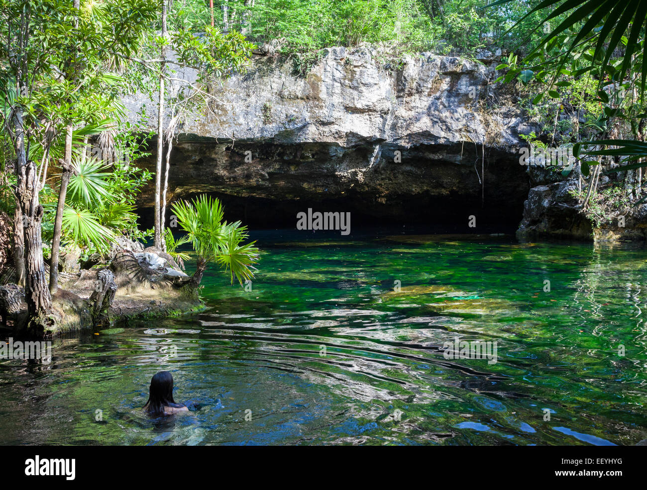 Swimmer in the Chikin Ha Cenote, Playa del Carmen, Riviera Maya, Yucatan, Mexico. Stock Photo