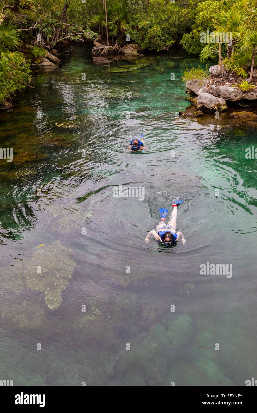 Snorkling in one of the Waterways, Xel Ha Eco-adventure Park, Playa del Carmen, Riviera Maya, Yucatan, Mexico. Stock Photo