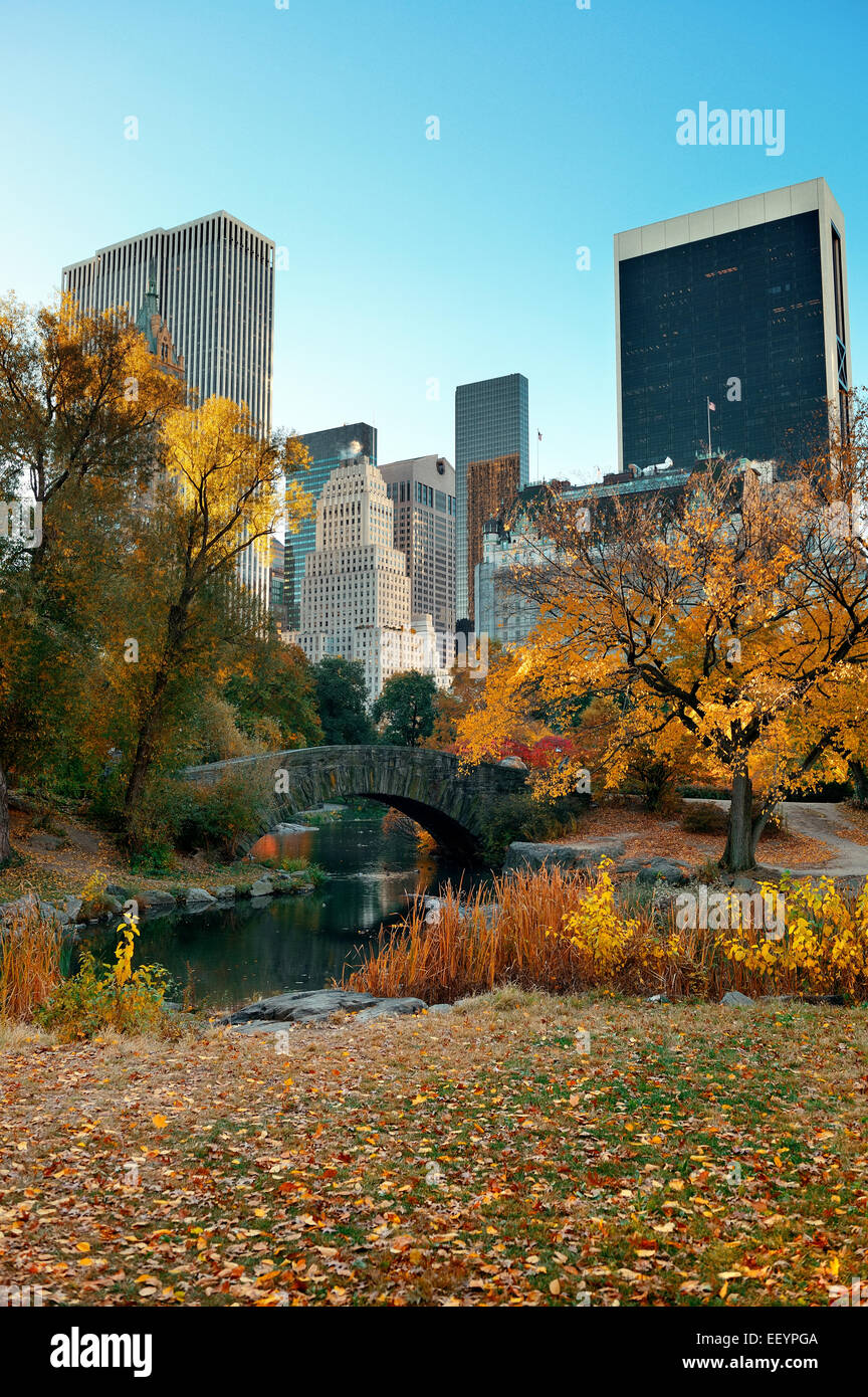 Central Park Autumn and buildings in midtown Manhattan New York City ...