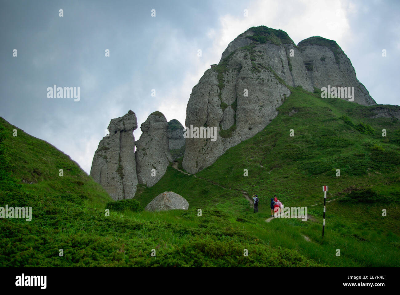 Alpine Landscape In Ciucas Mountains Romania Stock Photo Alamy alpine-landscape-in-ciucas-mountains-romania-stock-photo-alamy