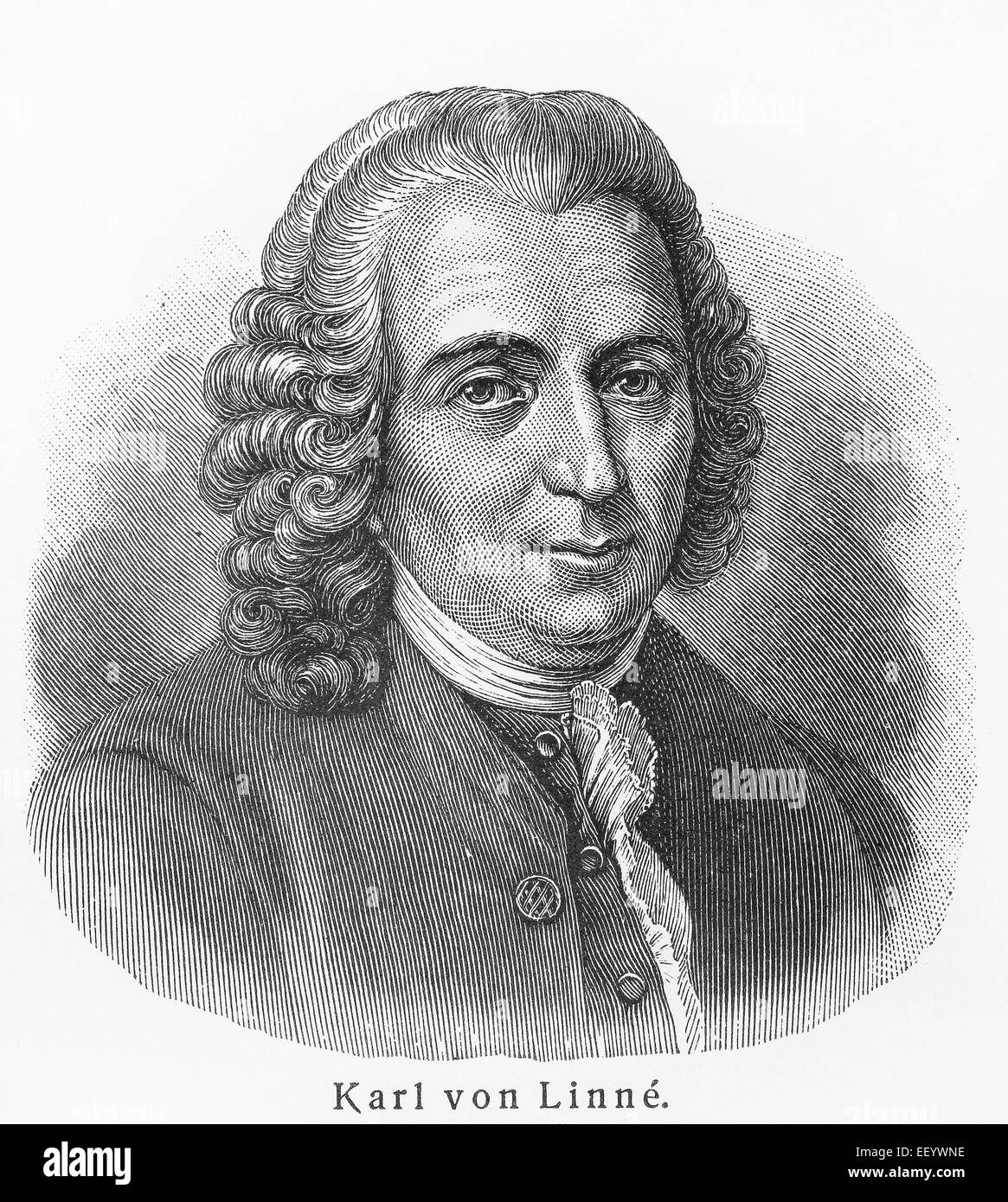 Carolus Linnaeus Stock Photo
